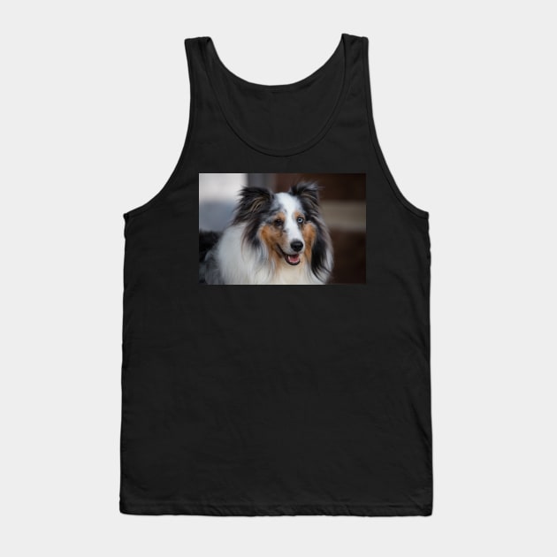 Sheltie Tank Top by SMiddlebrook